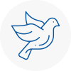 Bird Prevention Chafford Hundred