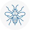 Chafford Hundred Hornet Nest Removals