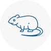 Rat Control Chafford Hundred