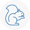 Chafford Hundred Rodent Removals