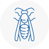Chafford Hundred Wasp Nest Removal